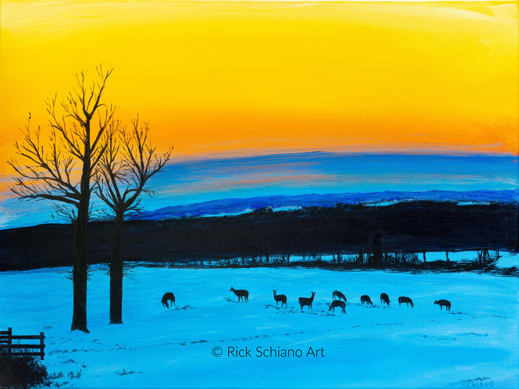 Beauty In a Winter Sunset